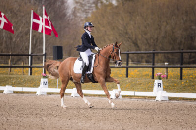 MG_1644-2