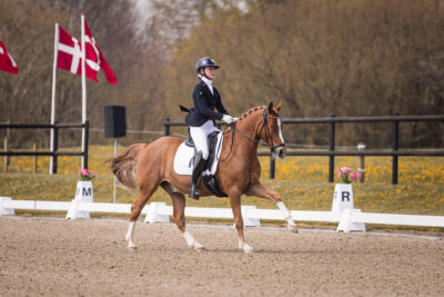 MG_1645-2