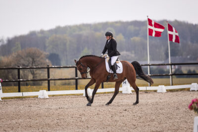 MG_0069-2