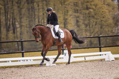 MG_0080-2