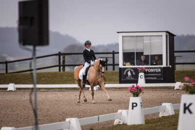 MG_0336-2