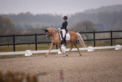 MG_0356-2