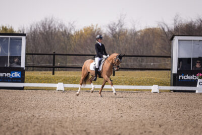 MG_2573-2