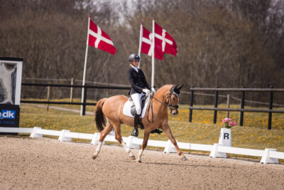 MG_2585-2