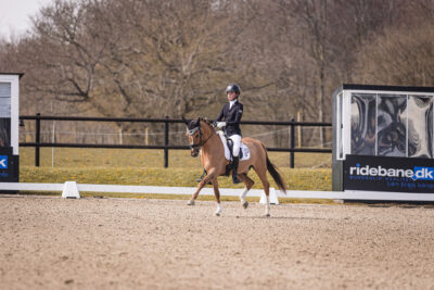 MG_2596-2