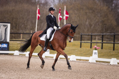 MG_2672-2