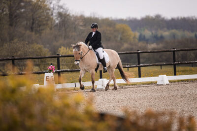 MG_9725-2