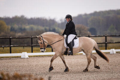 MG_9773-2