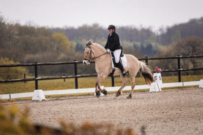 MG_9796-2