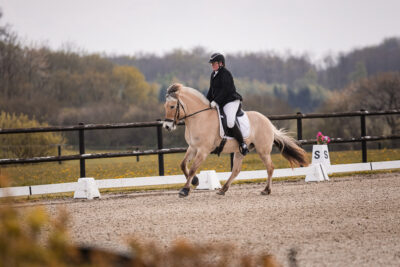 MG_9797-2