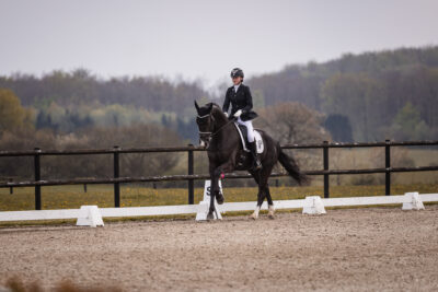 MG_0969-2