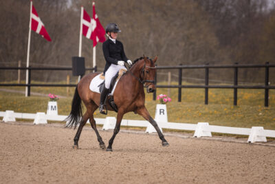MG_0493-2
