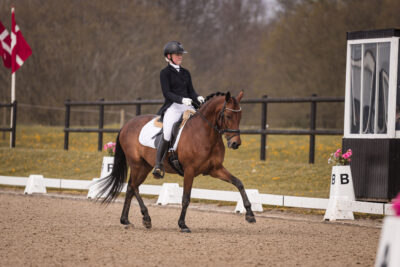 MG_0496-2