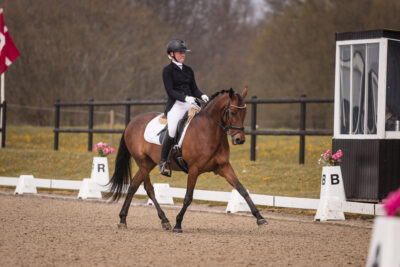 MG_0497-2