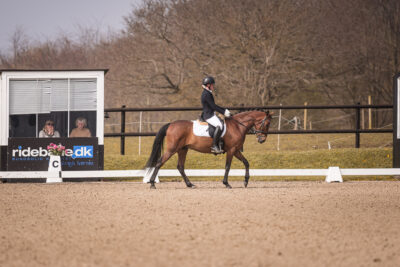 MG_0542-2