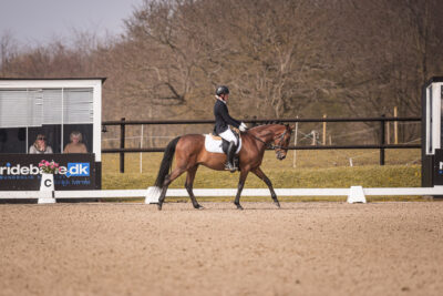 MG_0543-2