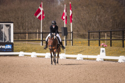 MG_0602-2