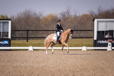 MG_1019-2