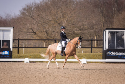 MG_1026-2