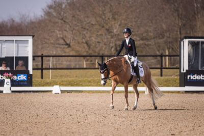 MG_1065-2