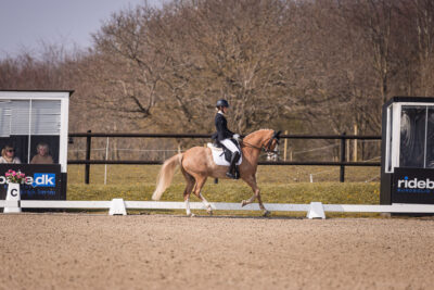 MG_1085-2