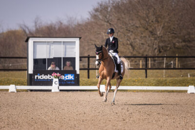 MG_1098-2