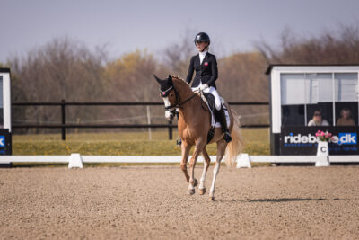 MG_1106-2