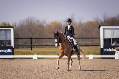 MG_1109-2