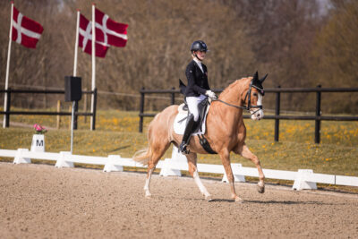 MG_1153-2