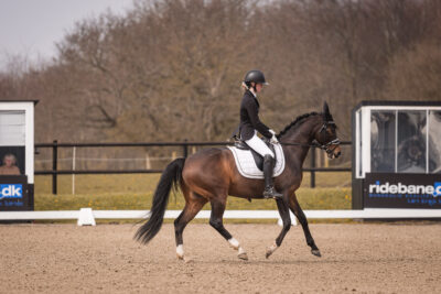 MG_0255-2