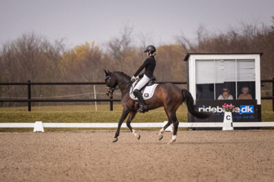 MG_0260-2