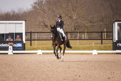 MG_0266-2