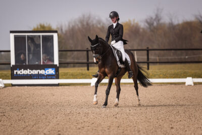 MG_0275-2
