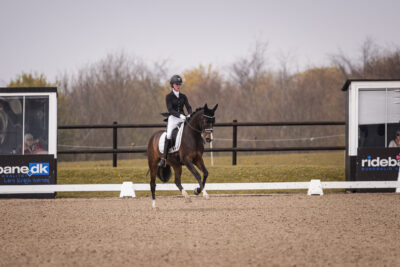 MG_0280-2