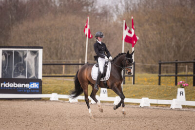 MG_0294-2