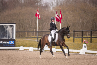 MG_0296-2
