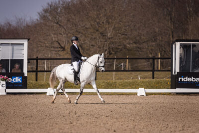 MG_0818-2