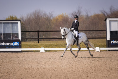 MG_0853-2
