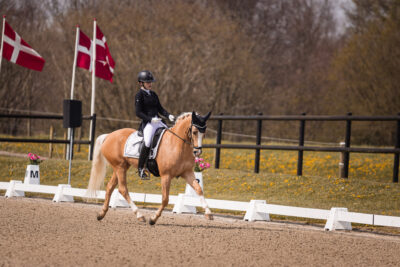 MG_1699-2