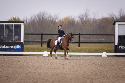 MG_0363-2