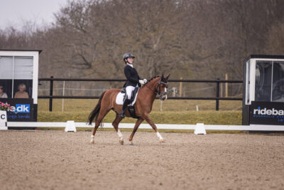 MG_0371-2