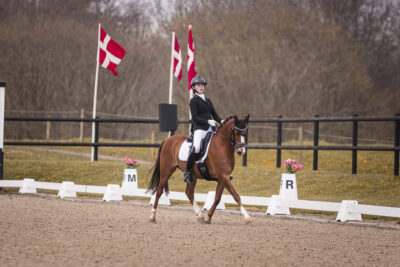 MG_0384-2