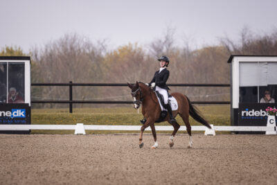 MG_0388-2