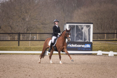 MG_0457-2