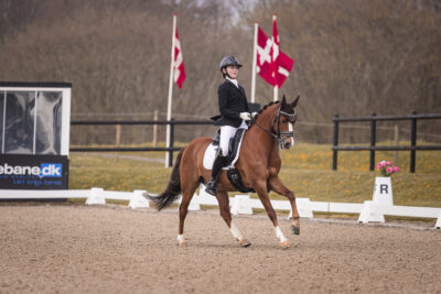 MG_0464-2
