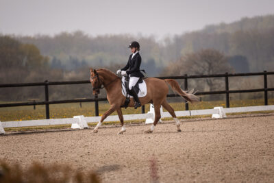 MG_0159-2