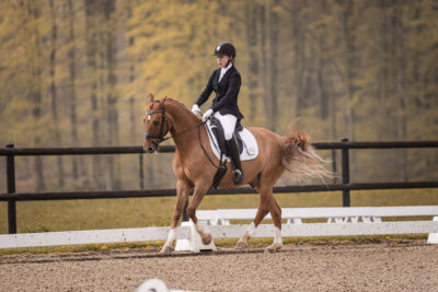 MG_0224-2