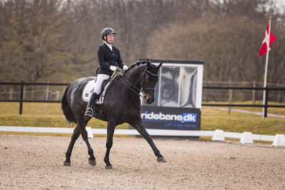 MG_0061-2