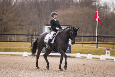 MG_0066-2