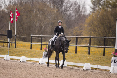 MG_0170-2